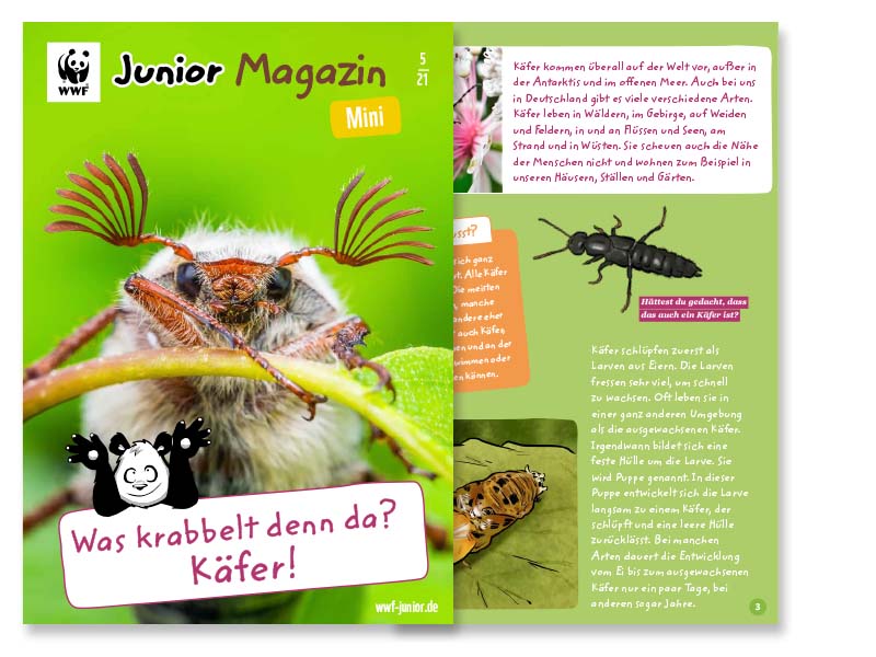 Junior Magazin Käfer 2021